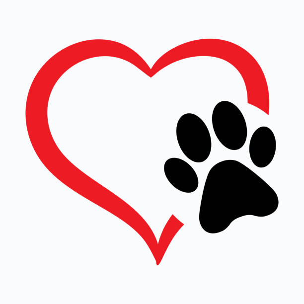 PetSpace's Logo